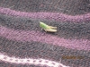 1280259981.jpg