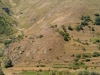 1248004526.jpg