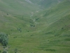 1248006362.jpg