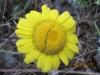 1280081878.jpg