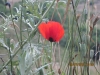 1280082104.jpg